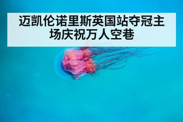 迈凯伦诺里斯英国站夺冠主场庆祝万人空巷